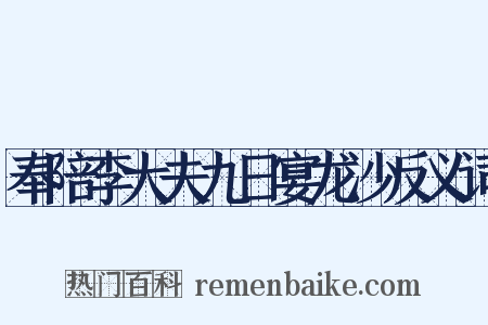 奉陪李大夫九日宴龙沙反义词是什么意思的图片